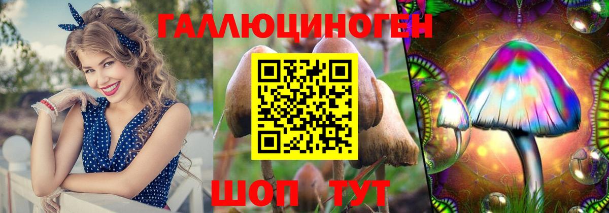 Псилоцибиновые грибы Psilocybine cubensis Обнинск
