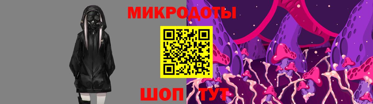 Галлюциногенные грибы Psilocybe  Вход с VPN  Обнинск 